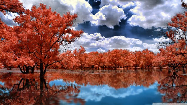 Between Red and Water Wallpaper