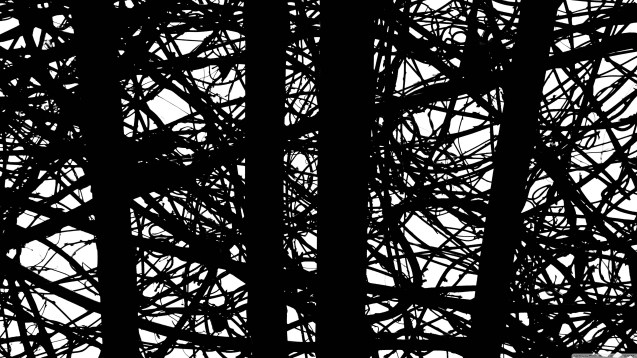 Black and White Strips wallpaper