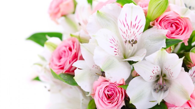 Bouquet Of Flowers Wallpaper