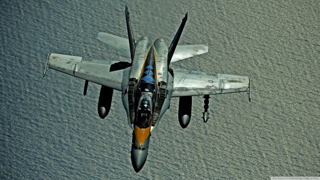 F/A-18 Hornet Multirole Combat Jet HD Wallpaper
