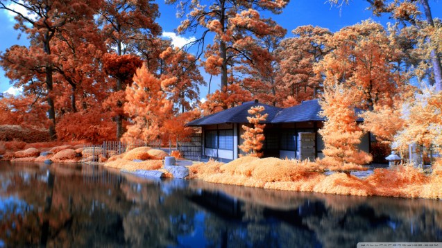 My Summer Home Wallpaper